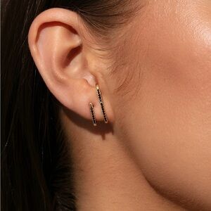 Double Vision Ear Climber